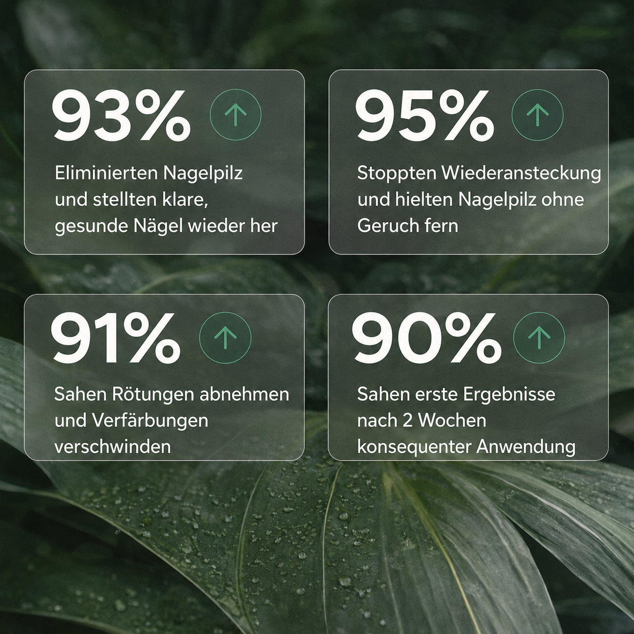 Nagelpilz Präzisionsstift